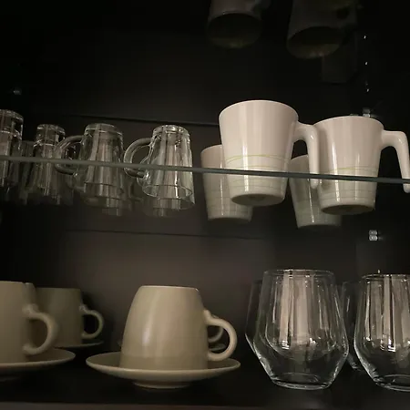 公寓 Elitevista By Cristian 蒂米什瓦拉